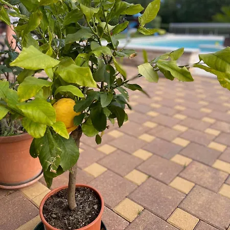 Apartament Kimberly Rovinj