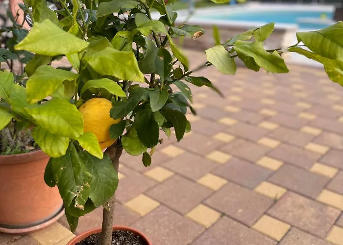 Apartament Kimberly Rovinj